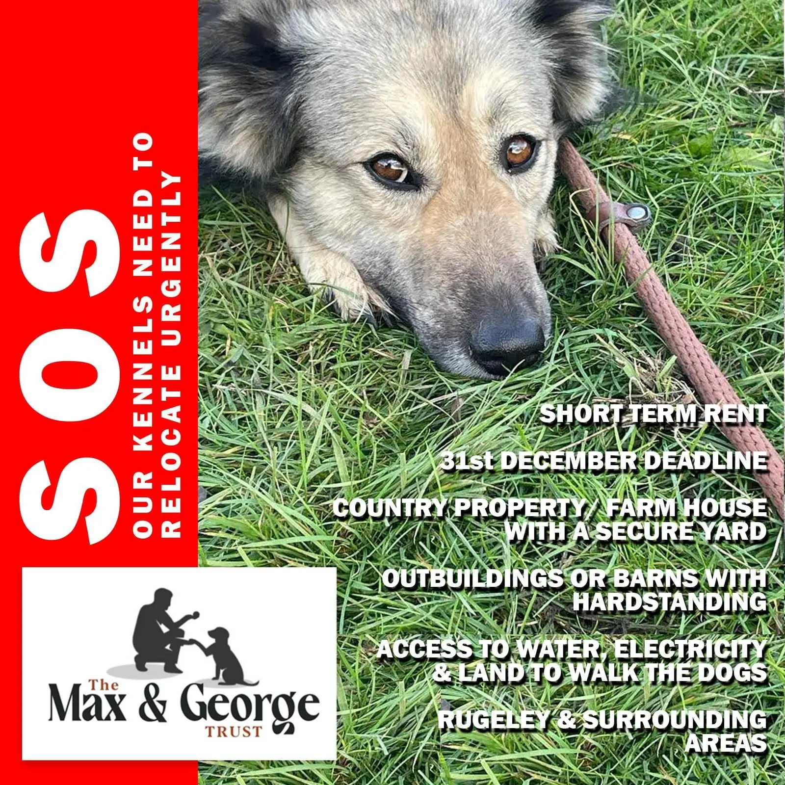 You are currently viewing Help Save Our Rescue